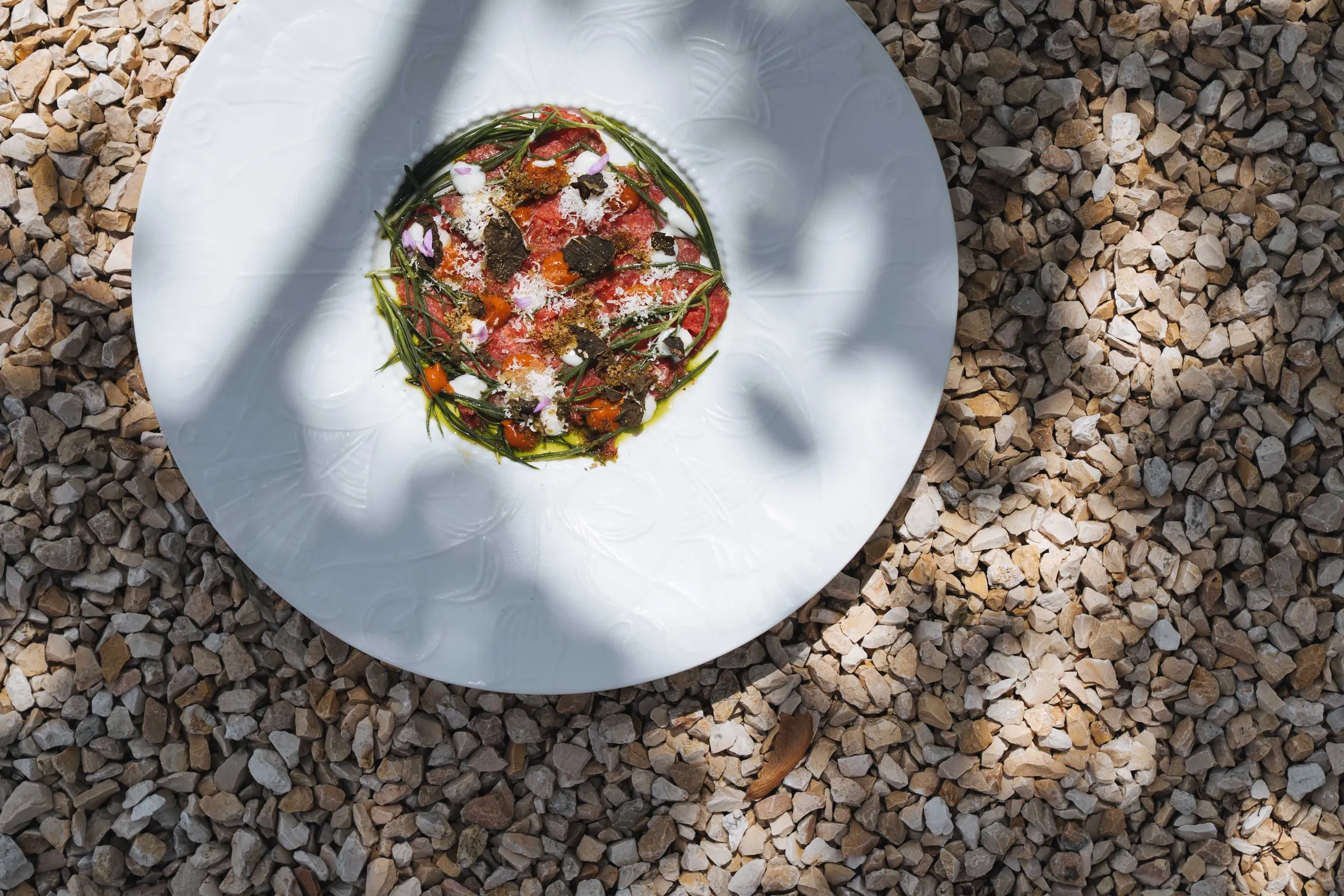 Carpaccio van Tajiri met kruiden en bloemen op een groot wit bord, in het zonlicht